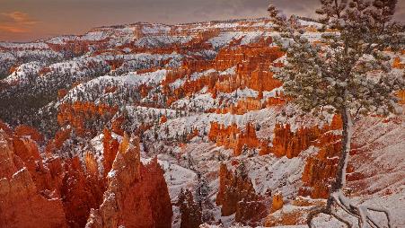 布莱斯峡谷国家公园的冬天，犹他州