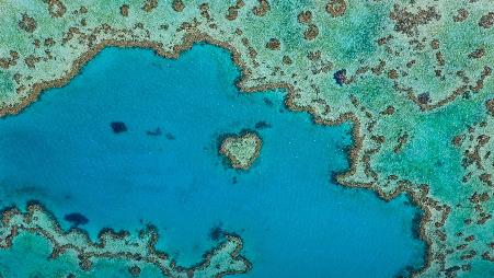 属于大堡礁的一部分的心形礁，澳大利亚昆士兰