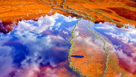 里约热内卢力拓的奇怪色彩