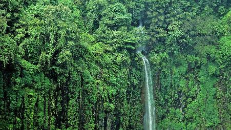 咆哮的瀑布……