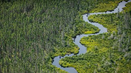 穆斯黑德湖附近的Norcross Brook河与湿地，缅因州皮斯卡特奎斯