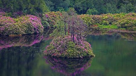 传说中的湖。“格伦埃蒂布的埃蒂布湖”苏格兰