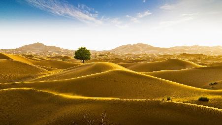 在 "空旷地带 "的生命迹象