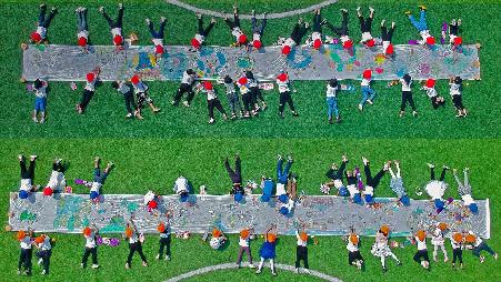 加拿大爱德华王子岛的森林和树冠