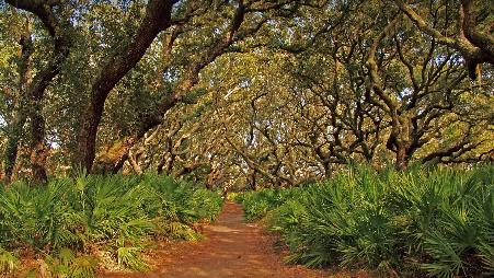 坎伯兰岛国家海岸