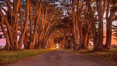 通往过去的隧道