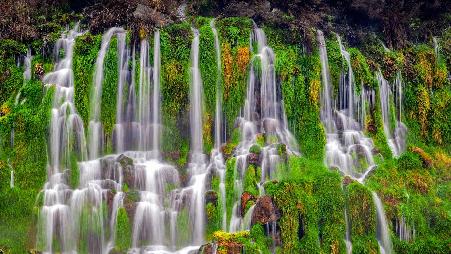 什么是地球上最珍贵的资源？