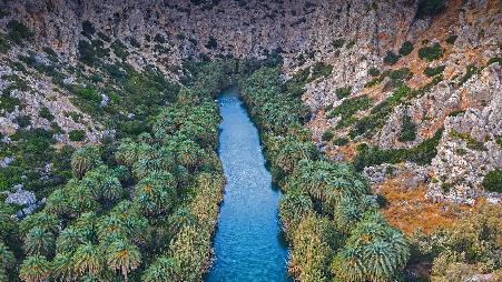 普雷维利峡谷里的河流和棕榈树森林，希腊克里特岛