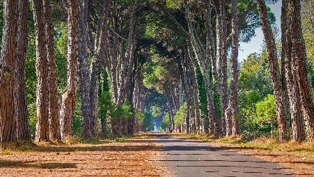 比萨不仅有斜塔