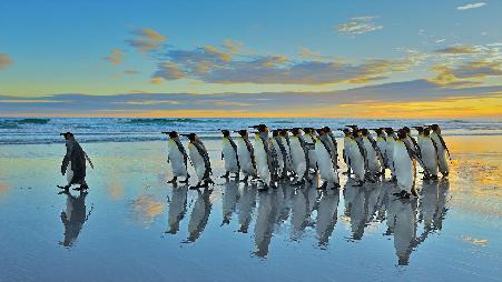 “兄弟们，跟我走”