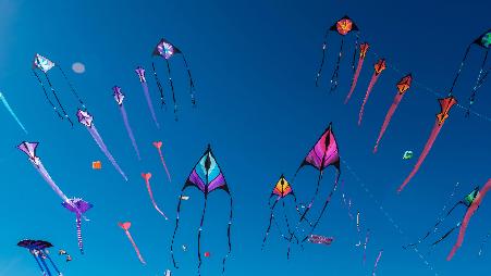 阿德莱德国际风筝节，澳大利亚