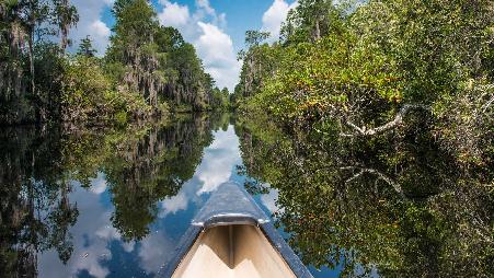 一片平静的水域