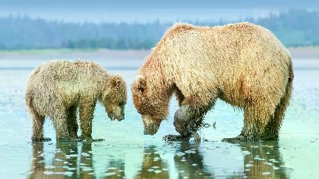 孩子，你把鱼扔哪儿了？