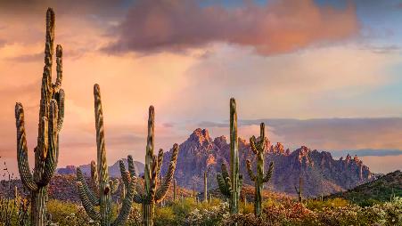 你今天过得怎么样？