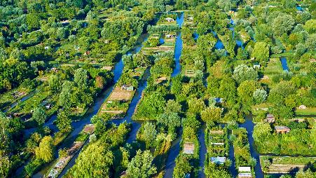 城市中心的绿色天堂