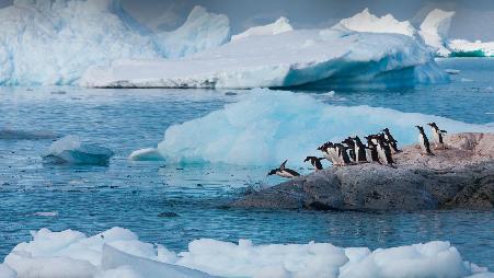 这是怎么做到的！