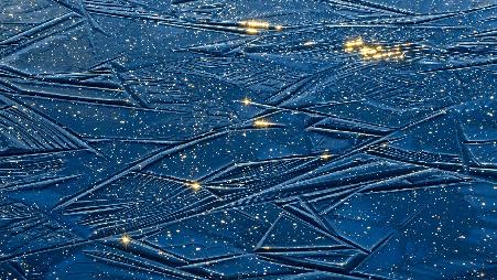 Alam-Pedja自然保护区，爱沙尼亚