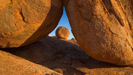 大自然的平衡术