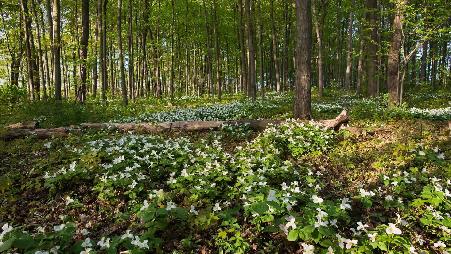 嘿，今天长势如何？