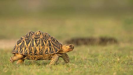 寻找一个“庇护所”