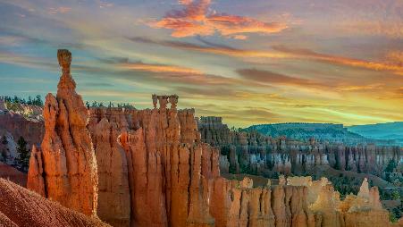 这里有“胡图”吗？