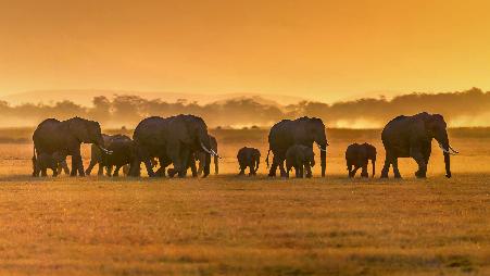 你的声音嘹亮而清晰