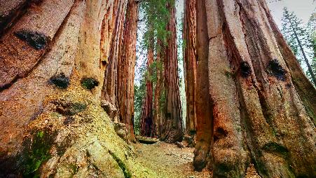 古代巨人的王国