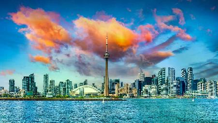 2024年多伦多国际电影节