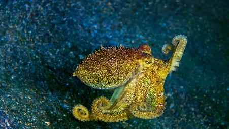 托斯卡纳的石头小镇