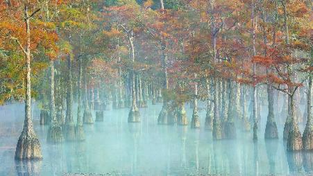 在秋天里傲然挺立
