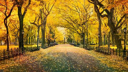 曼哈顿中央公园的秋天，纽约，美国