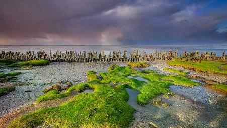 泥土、大海和天空
