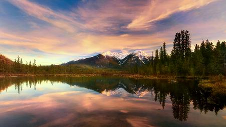 旷野里的第一片雪花