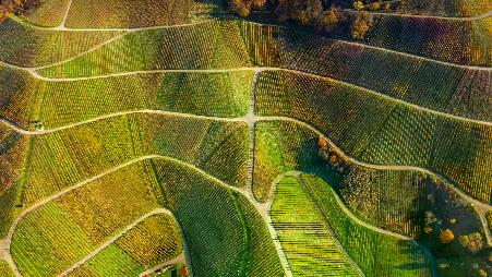 引以为豪的传统