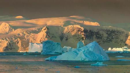 保护最后一片大荒野