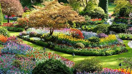 绽放于你所在之地