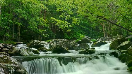 流经烟雾弥漫之地