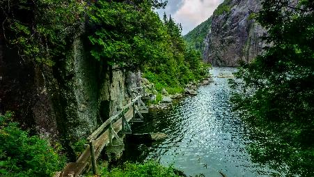 溪流入梦