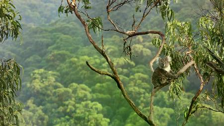 坚持重要的事情