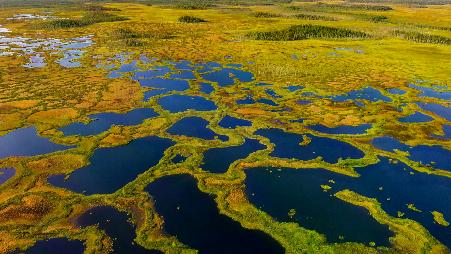 芬兰的活泥炭地