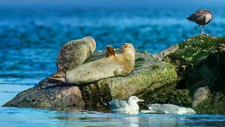 带着“你好”的问候