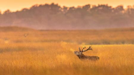 哎呀，好冷啊！