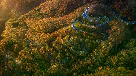 像日光那样“弯道飞驰”