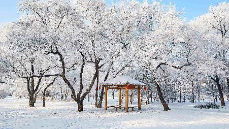 美丽的雾凇景色