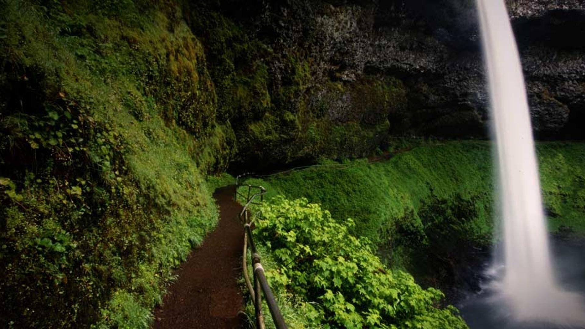 美国南银州立瀑布公园中幽静的小路
