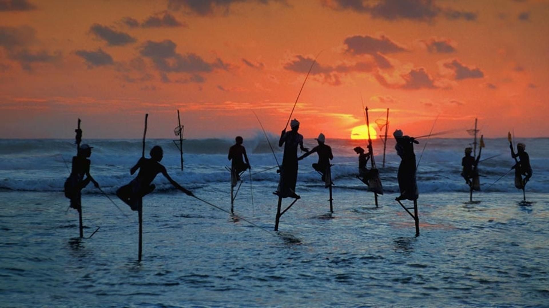 斯里兰卡渔民传统的捕鱼方式