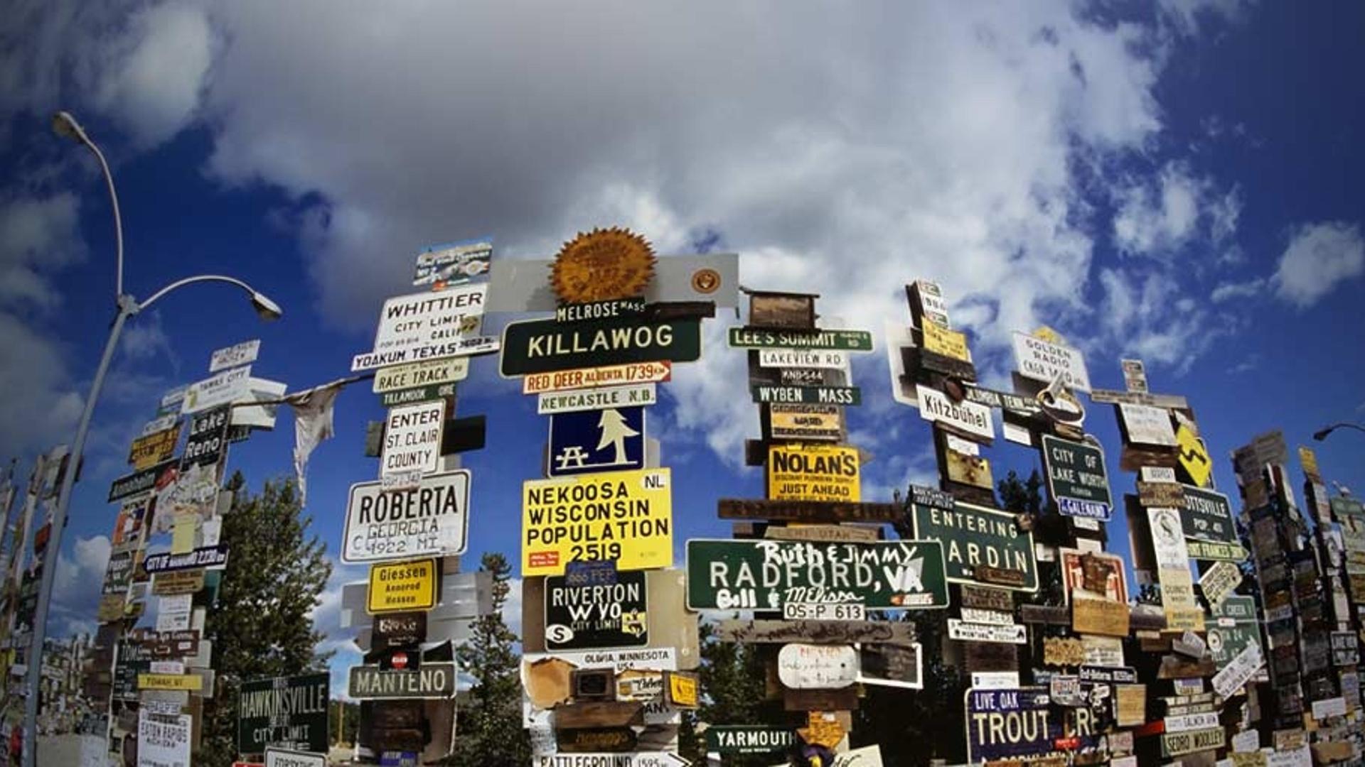 美国阿拉斯加沃森湖畔的“标识林”