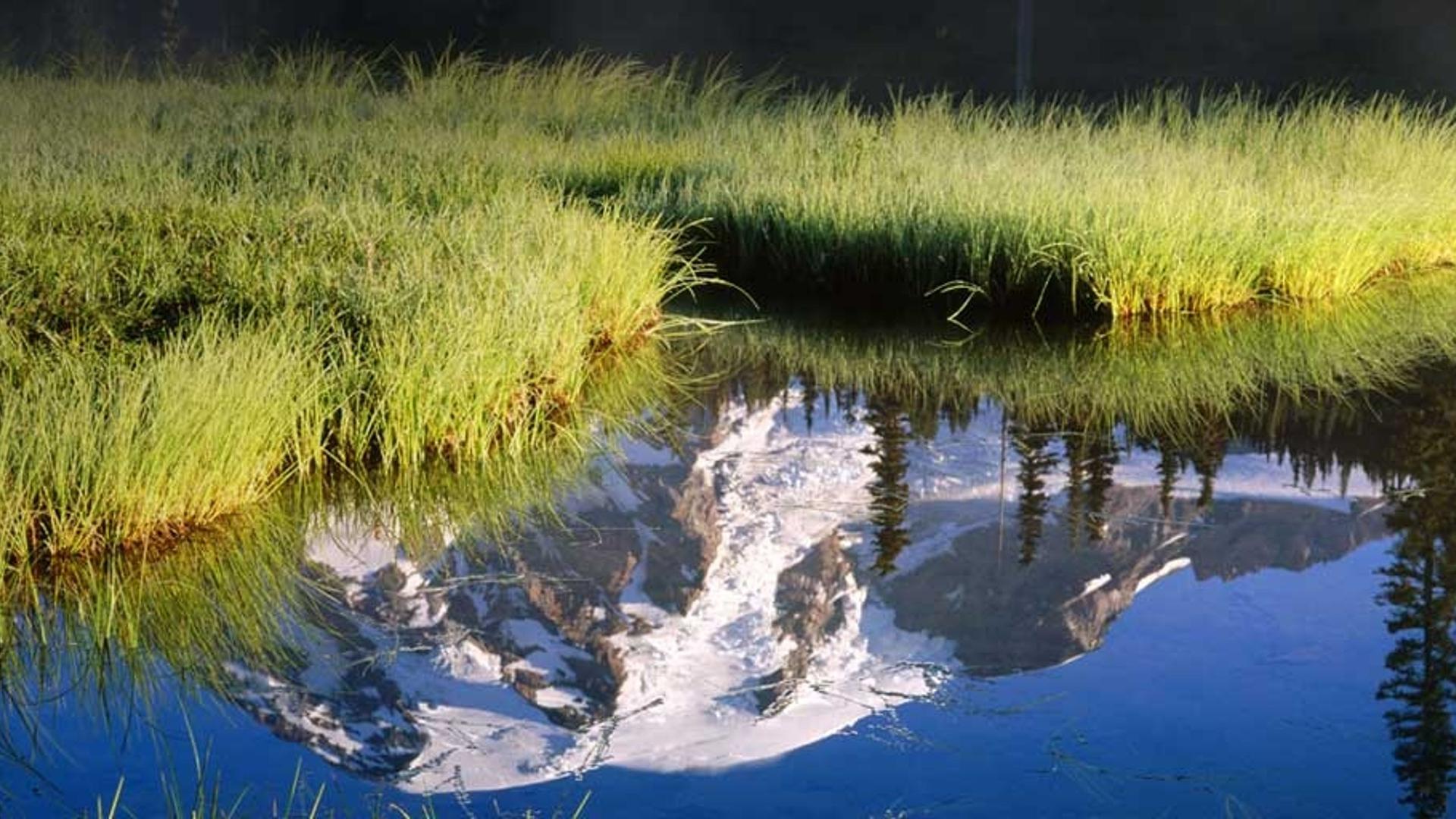 美国华盛顿州的雷尼尔山国家公园，雷尼尔山倒映在湖中