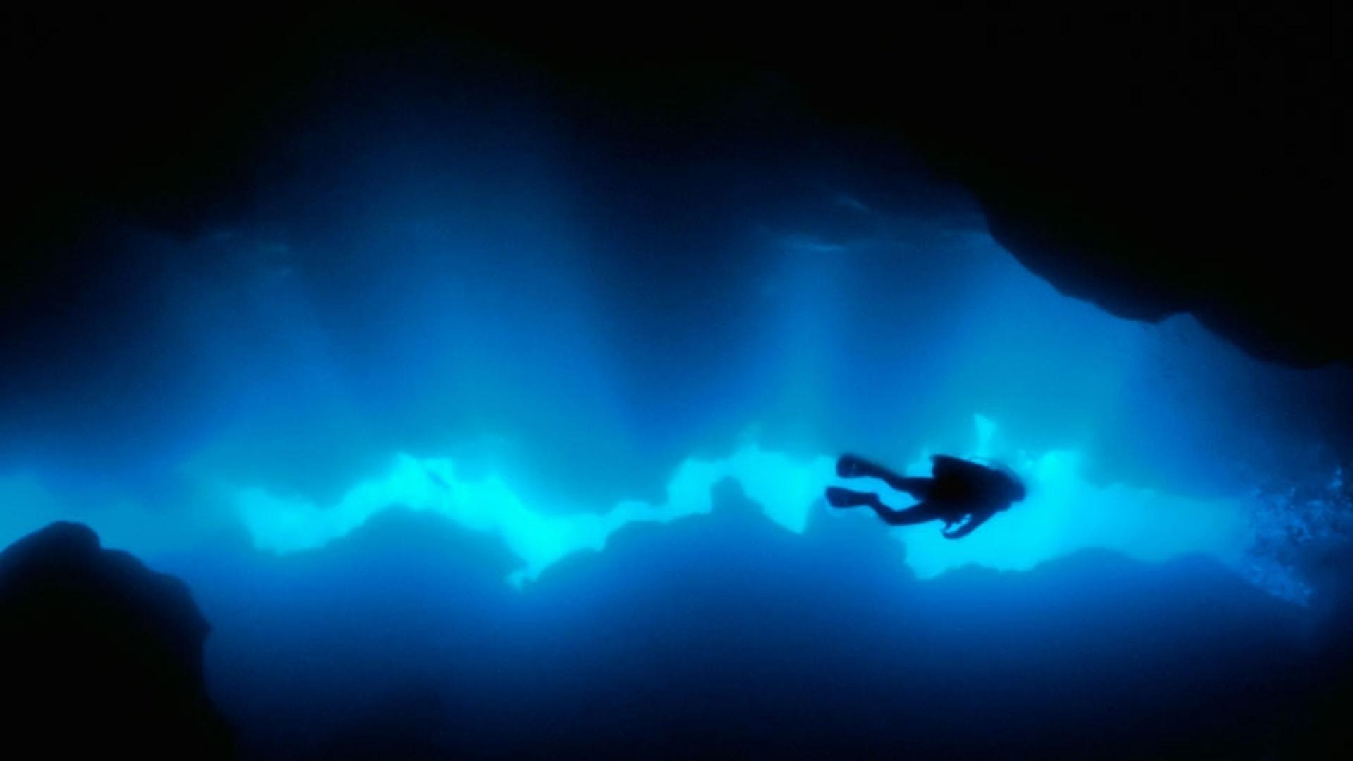 潜水员在洪都拉斯的罗阿坦岛潜水