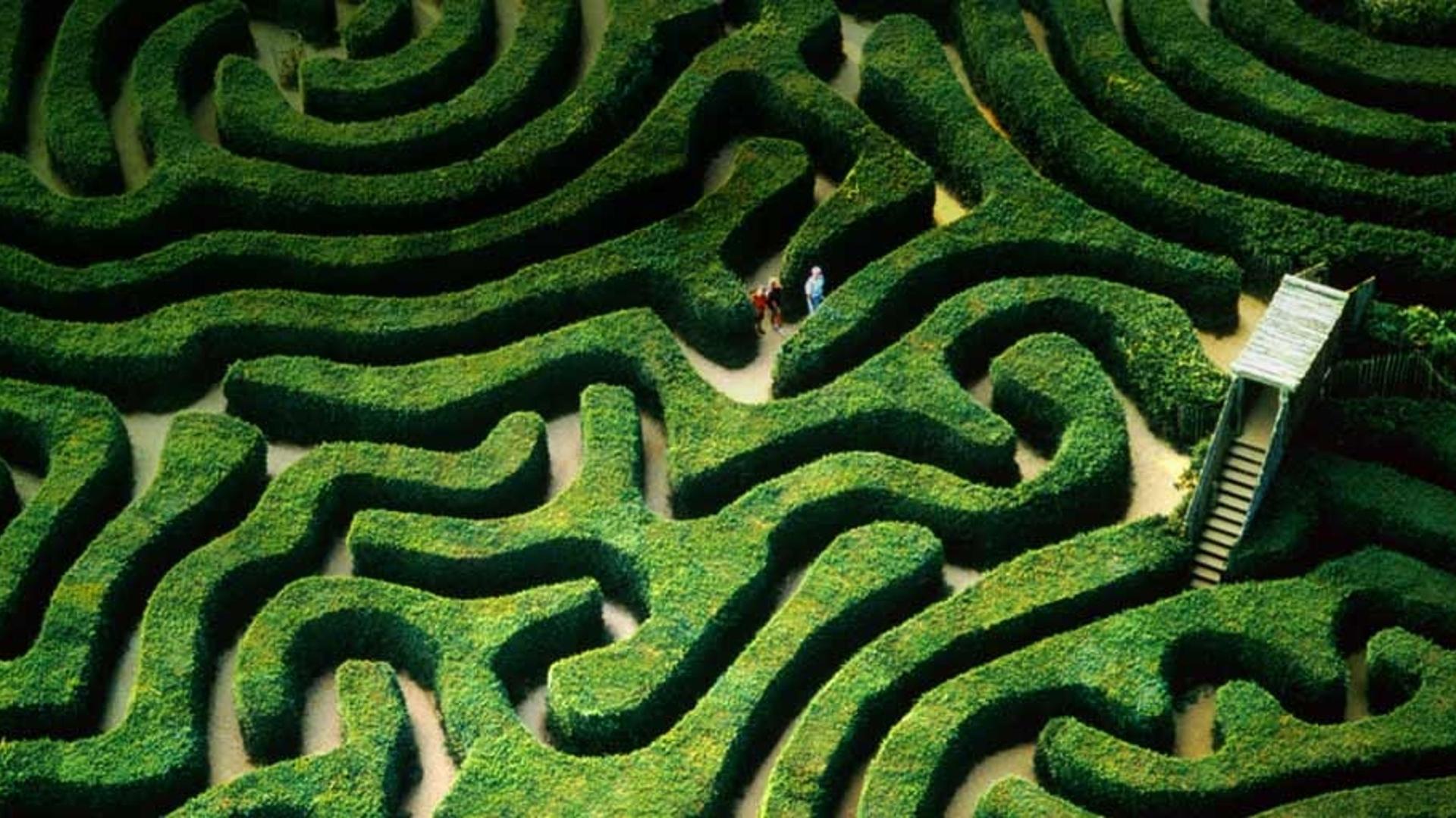 英国威尔特郡附近的树篱迷宫